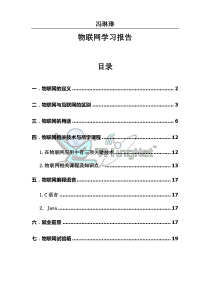 物联网学习报告20