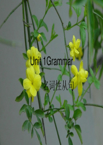 江苏省姜堰市张甸中学高三英语一轮复习：Module 3 Unit 1 Grammar-名词性从句  