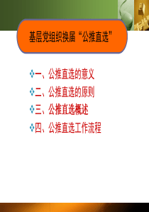 公推直选概述四、公推直选工作流程(精)