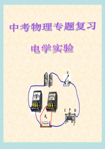 中考物理总复习电学实验专题(ppt课件)