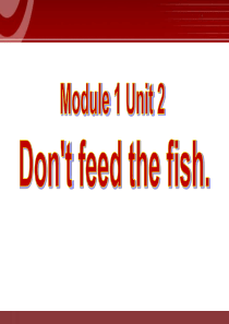 《Dont-feed-the-fish》PPT课件