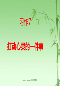 苏教版四上语文《习作七》