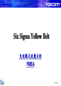 3失效模式效应分析(FMEA)(2)