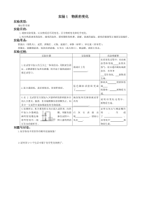 初中化学实验报告