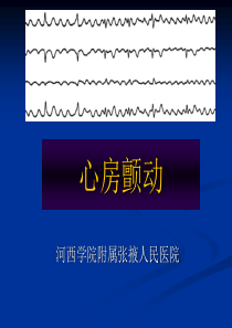 心房颤动课件攻略PPT