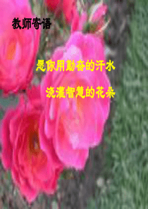 轴对称全章复习.ppt