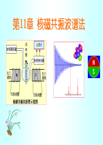 第12章 核磁共振波谱法(武1)