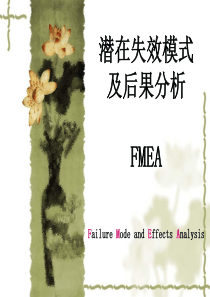 DFMEA（PPT33页)