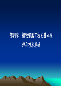 九年级上科学第三章单元测试卷(45分钟)_浙教版