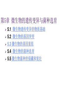 第5章微生物的遗传变异与菌种选育1