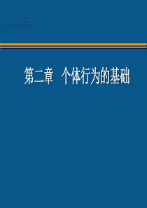 第2章个体行为基础