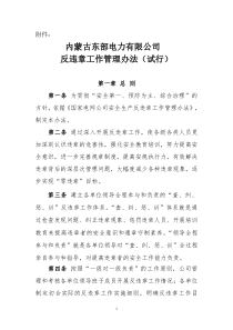 内蒙古东部电力有限公司反违章工作管理办法(试行)