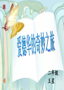 《爱德华的奇妙之旅》导读