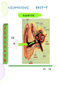 耳的结构与听觉的形成(第一课时)