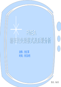 FMEA11861071