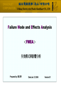 FMEA2