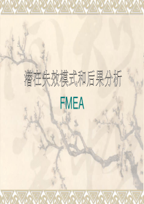 FMEA81248972