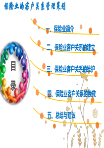 保险业客户关系管理