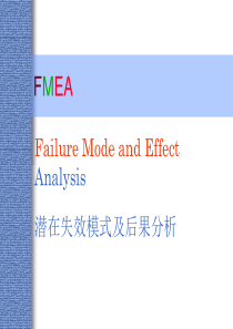 FMEA_培训教材