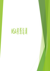 MSA培训_2