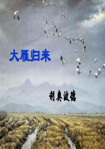 《大雁归来》公开课优秀课件