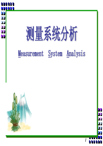 MSA培训材料