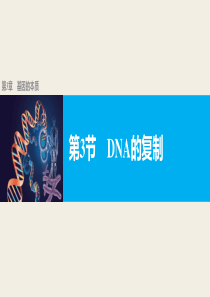 2019第3章第3节--DNA分子的复制