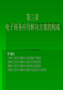 第三章电子商务应用解决方案的构成