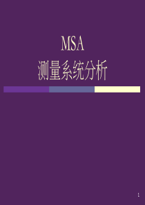 MSA完全版终极教程