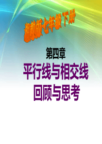 七年级数学下册：第四章平行线与相交线复习课件(湘教版版)