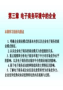 第三章电子商务环境中的企业