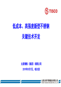 低成本、高强度新型不锈钢关键技术开发-PPT文档资料24页