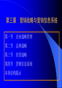 市场营销学导3 营销课战略与信息系统