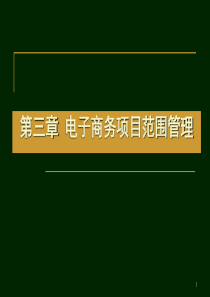 第三章电子商务项目范围管理