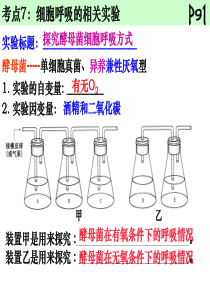 细胞呼吸实验