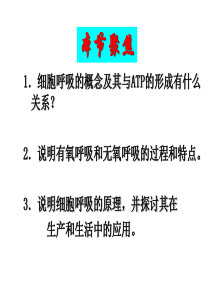 细胞呼吸课件