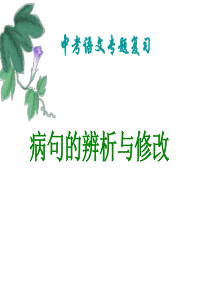 2017年中考语文复习课件 病句的辨析与修改 (共23张PPT)