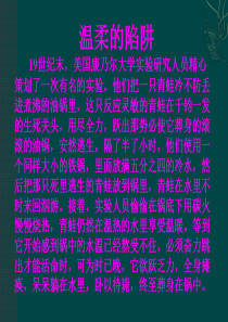 七年级政治上： 1.2 我的自律宣言―与诱惑作斗争(课件)人民版