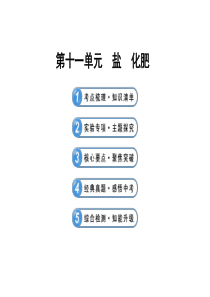 2014届中考化学一轮复习第十一单元《盐 化肥》PPT课件