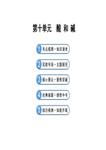 2014届中考化学一轮复习第十单元《酸和碱》PPT课件