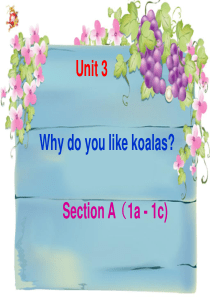 人教新目标英语七年级下Unit3 Do you like koalas Section A