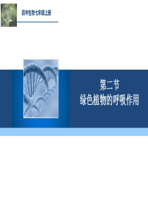 人教新课标七年级上册课件第三单元第五章第二节 绿色植物的呼吸作用 (共29张PPT)概况