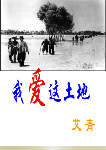 《我爱这土地》ppt