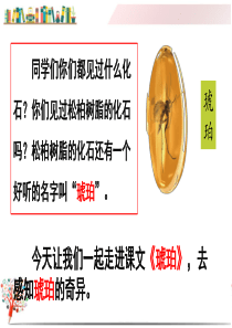 2020部编版四年级语文下册《5--琥珀》课件