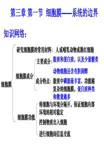 高一生物必修一复习课件