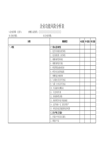 企业功能风险分析表