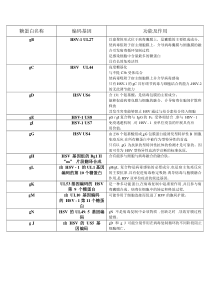 HSV糖蛋白功能