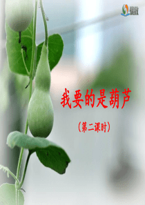 《我要的是葫芦》课件(第二课时)