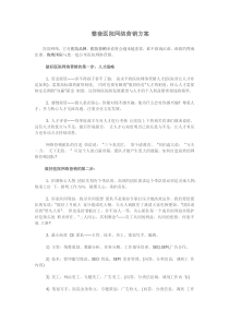 整套医院网络营销方案