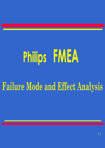 PhilipsFMEA(2)